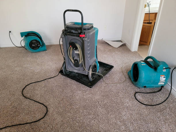 Best 24-hour water damage restoration  in Shil, OH