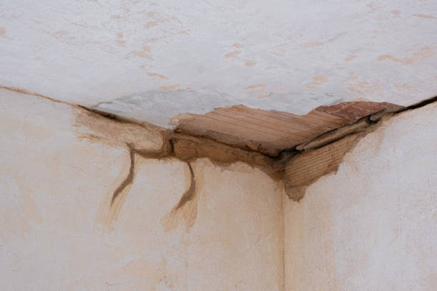 Best Water damage restoration near me  in Shil, OH