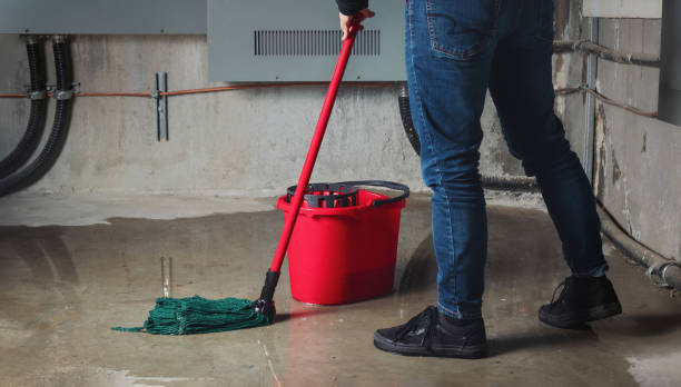 Best Flood restoration services  in Shil, OH