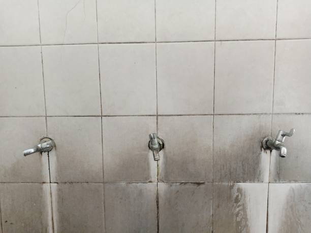 Best Water damage restoration near me  in Shil, OH