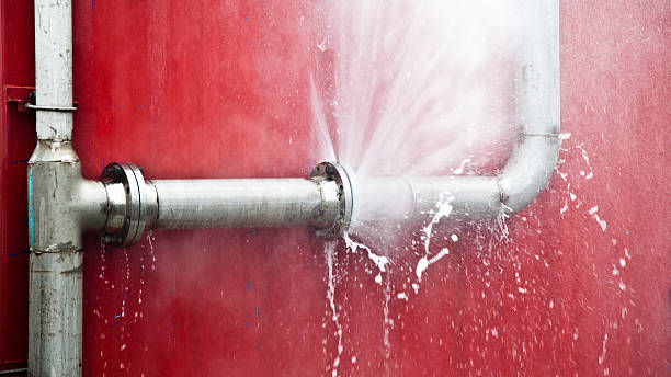 Best Professional water damage repair  in Shil, OH